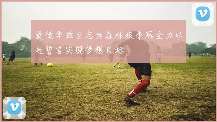 爱德华兹立志为森林狼夺冠全力以赴誓言实现梦想目标