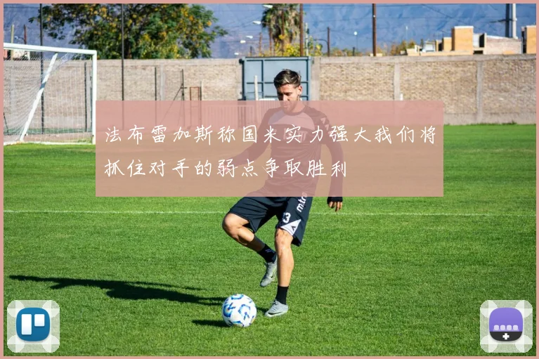 法布雷加斯称国米实力强大我们将抓住对手的弱点争取胜利