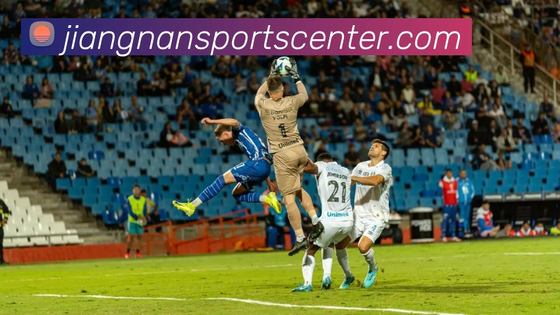 多媒体互动体验